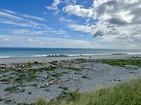 Er is niemand op het strand