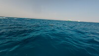 Sataya Reef (Egypte) dag 6